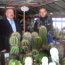 Kozak Rys