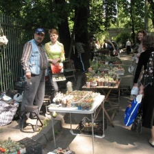   2009  -