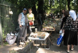   2009  -