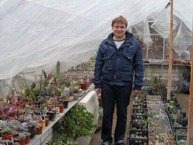        2011