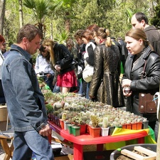 Олеся Рудина (Cactusledi) (Одесса). 2007 