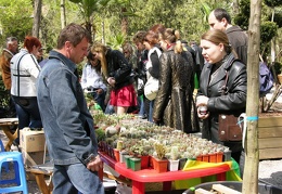 Олеся Рудина (Cactusledi) (Одесса). 2007 