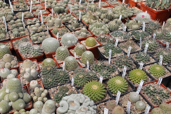 Коллекция Дмитрия Самогородского (г. Кременчуг)