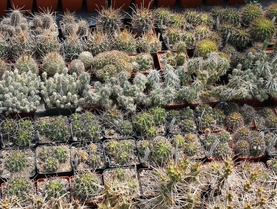 Коллекция Дмитрия Самогородского (г. Кременчуг)