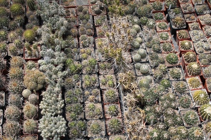 Коллекция Дмитрия Самогородского (г. Кременчуг)