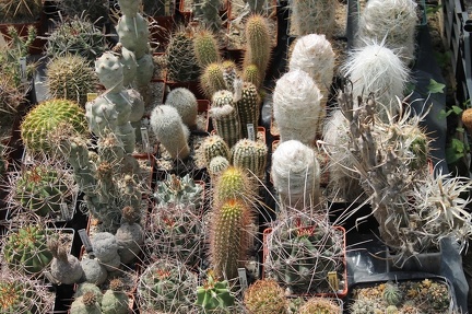 Коллекция Дмитрия Самогородского (г. Кременчуг)