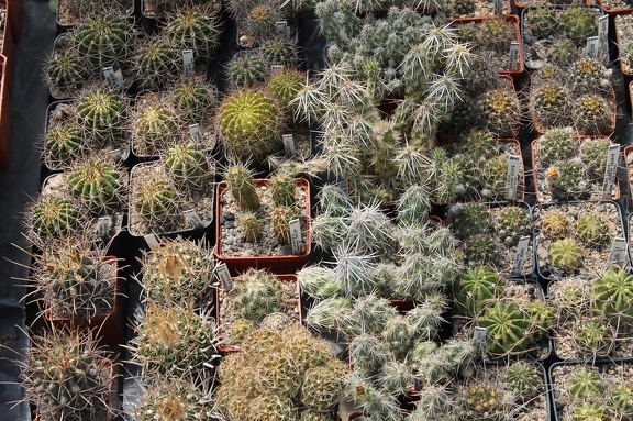 Коллекция Дмитрия Самогородского (г. Кременчуг)