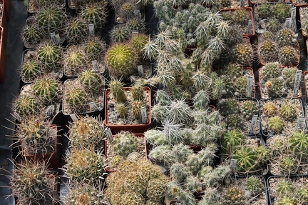 Коллекция Дмитрия Самогородского (г. Кременчуг)