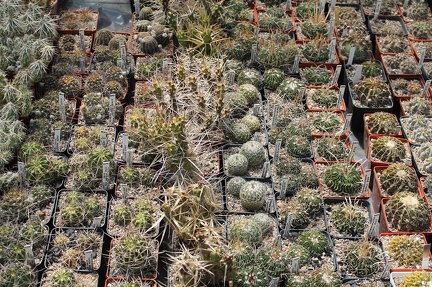 Коллекция Дмитрия Самогородского (г. Кременчуг)