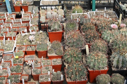 Коллекция Дмитрия Самогородского (г. Кременчуг)