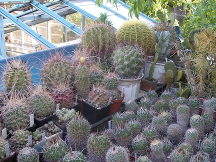 Коллекция А.Д. Балабащенко (Одесса)