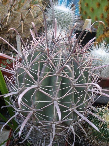 P7010100.jpg