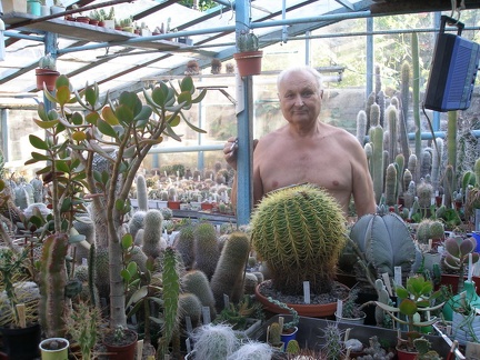 Коллекция А.Д. Балабащенко (Одесса)