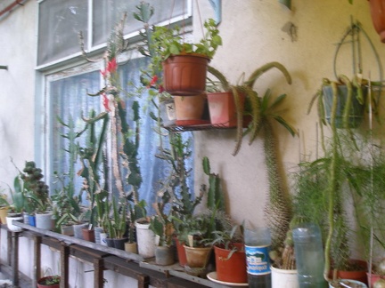 Коллекция А.Д. Балабащенко (Одесса)