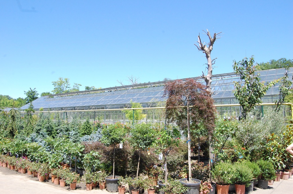 Коллекция Басараба Попа (Констанца, Румыния) 