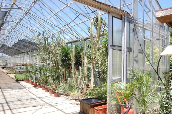 Коллекция Басараба Попа (Констанца, Румыния) 