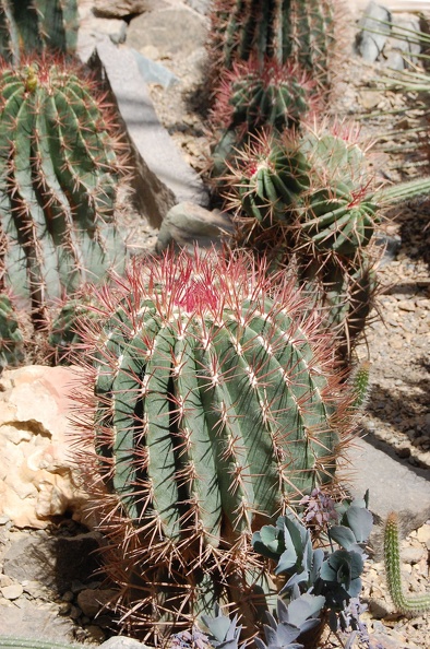 DSC_3711.jpg