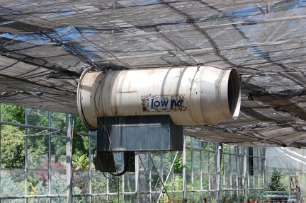 Коллекция Басараба Попа (Констанца, Румыния) 