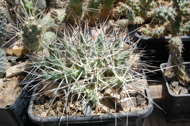 DSC_3829.jpg