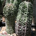 IMG_1817.JPG