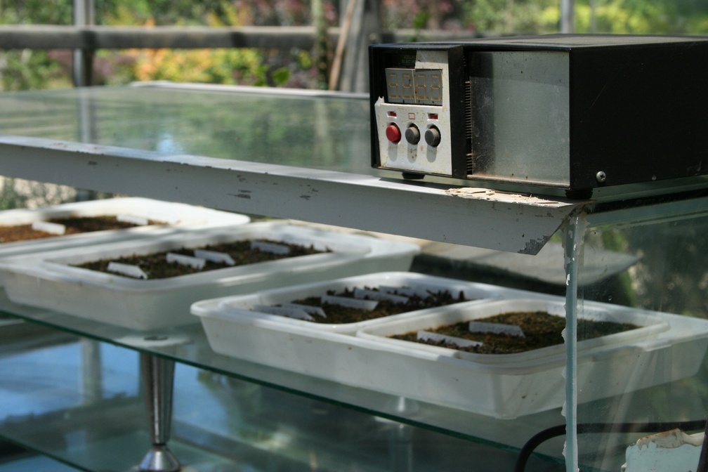 Коллекция Басараба Попа (Констанца, Румыния)