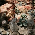 IMG_1885.JPG