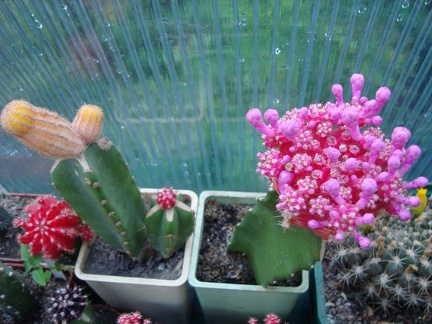 Коллекция Игоря Билык (Белая Церковь)