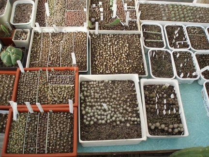 Коллекция Игоря Билык (Белая Церковь)