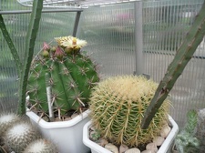 Коллекция Игоря Билык (Белая Церковь)