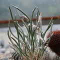 chehIMG_5926.jpg