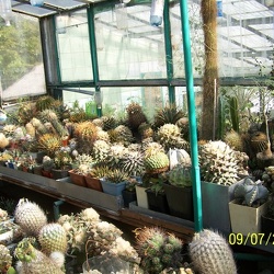 Фото коллекции братьев Червинко (г. Винница)