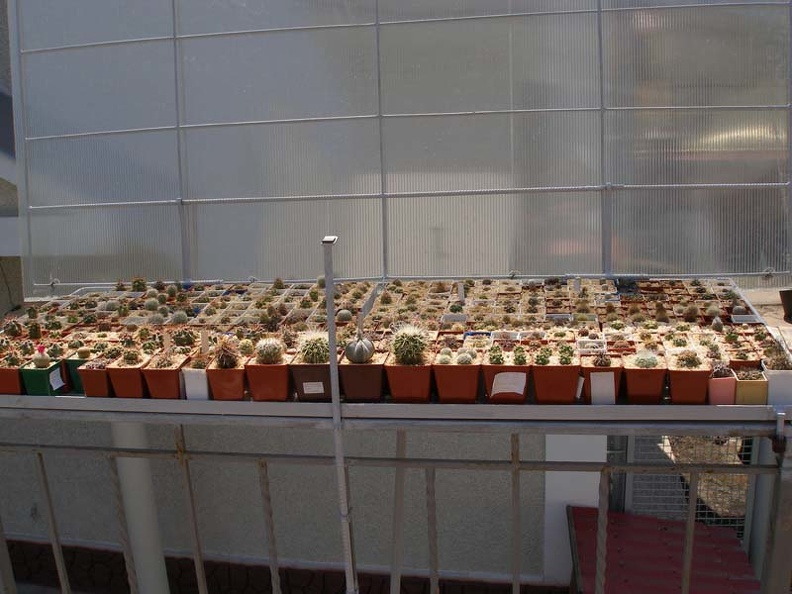 P8020052.jpg