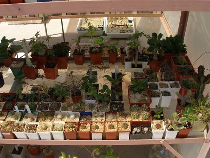 Коллекция Натальи Эллис  (Одесса)