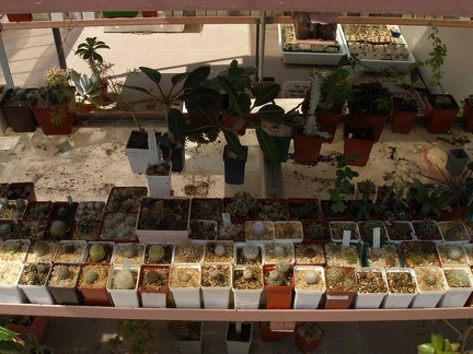 Коллекция Натальи Эллис  (Одесса)