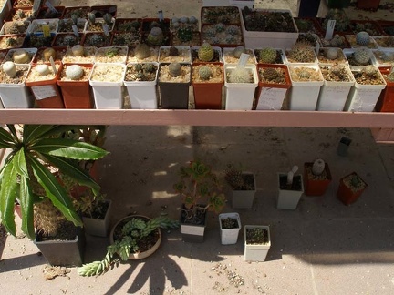 Коллекция Натальи Эллис  (Одесса)