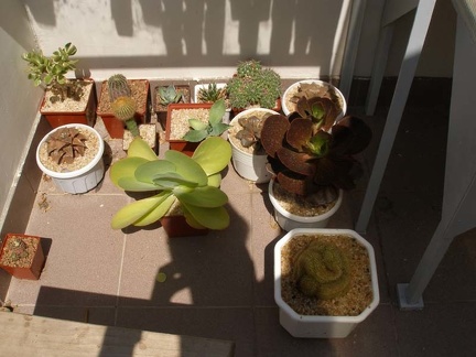 Коллекция Натальи Эллис  (Одесса)