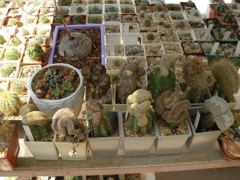 P8020109.jpg