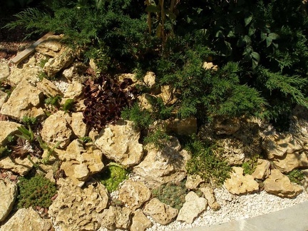 Коллекция Натальи Эллис  (Одесса)