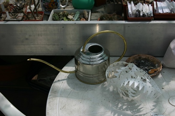 Коллекция О.В. Ильяшенко  (Донецк)