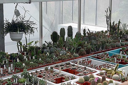 Коллекция О.В. Ильяшенко  (Донецк)