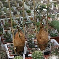 img025.jpg
