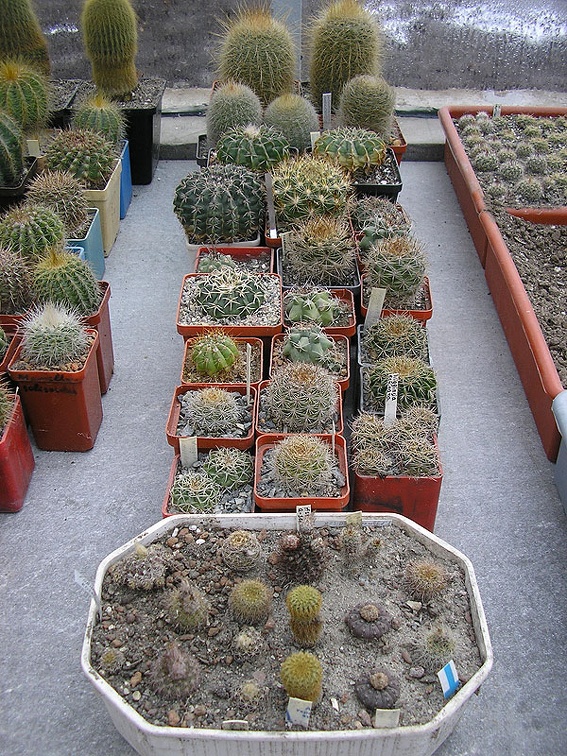 Коллекция Ивановой Елены (Киев)