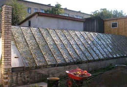 Коллекция Ивановой Елены (Киев)