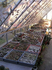 Коллекция Ивановой Елены (Киев)