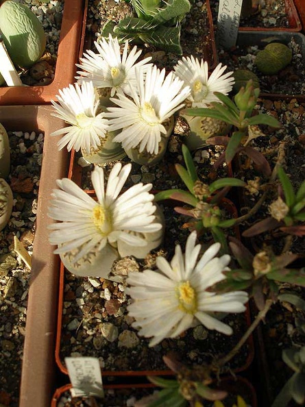 PA010220.jpg