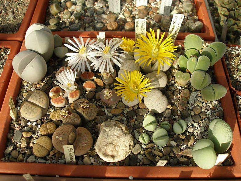 PA010221.jpg