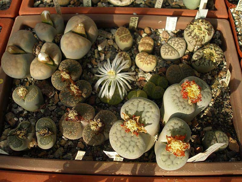 PA010222.jpg