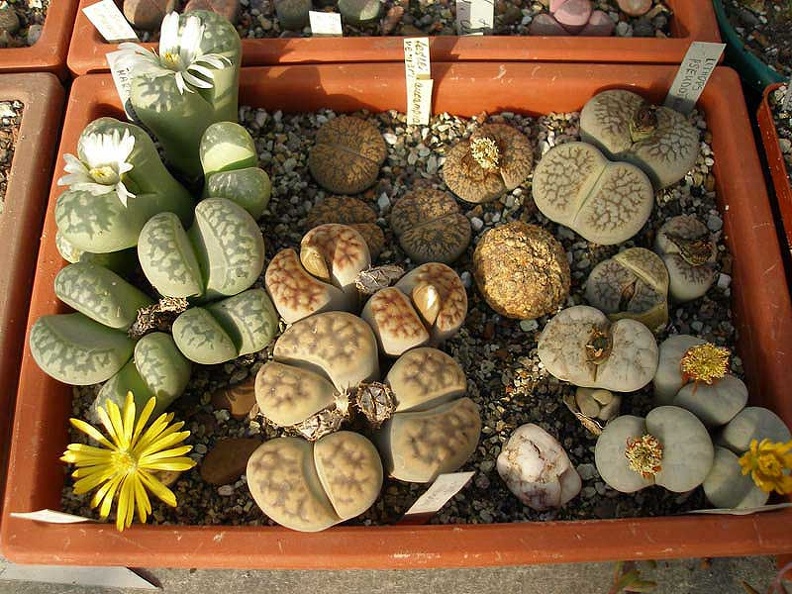 PA010224.jpg