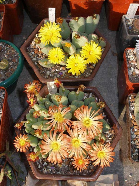 PA010225.jpg