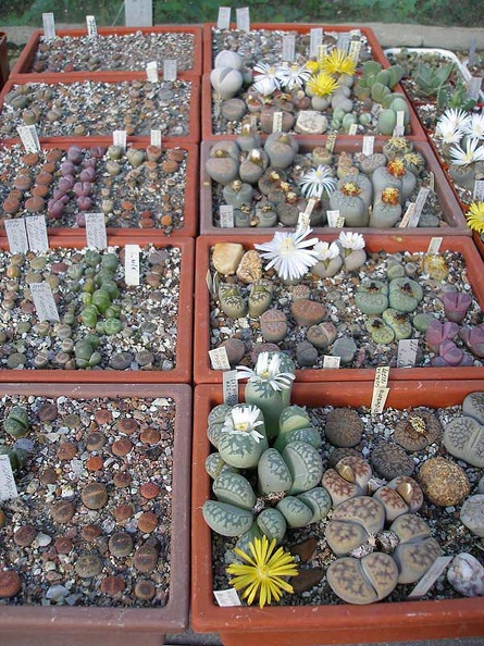 PA010228.jpg